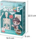 Teng Xin – Explore Science Bone Assembly